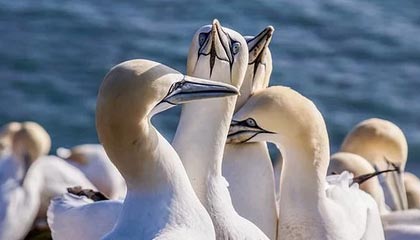 黑料正能量往期：这一次真的要谨慎：关于黑料，我把传播路径理了一遍