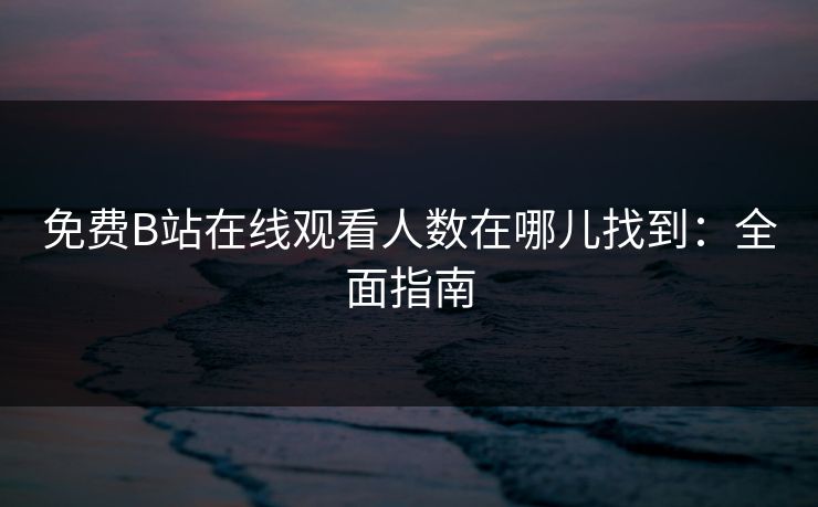 免费B站在线观看人数在哪儿找到：全面指南