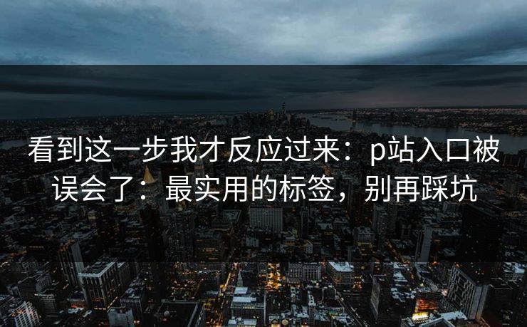 看到这一步我才反应过来：p站入口被误会了：最实用的标签，别再踩坑
