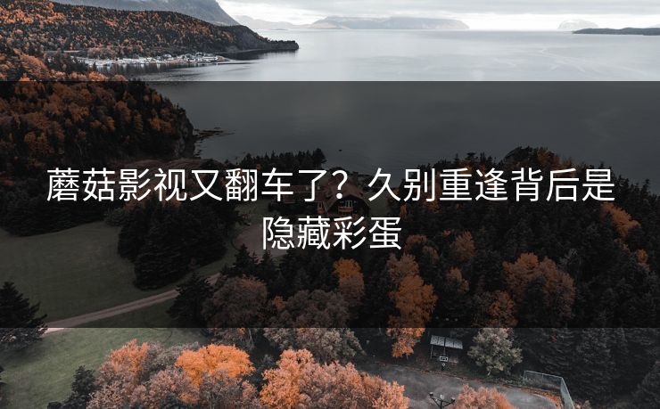 蘑菇影视又翻车了?久别重逢背后是隐藏彩蛋