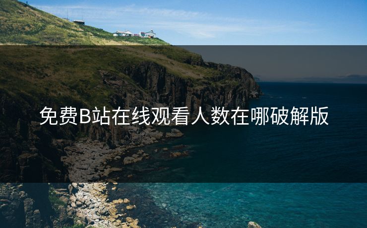 免费B站在线观看人数在哪破解版